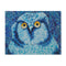 "Bird of the Night" by Madison Budreau - Placemat
