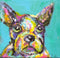 "Brutus Black" Print by Kelli Bringle