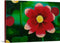 "In Bloom" Mini Print by Madison Budreau