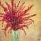 "Grandma Nancy's Plant" Print by Brock Schul