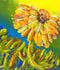 "My Flowers" Print by Phil Whitley