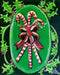 "Candy Canes & Ribbons" Original Painting by Laurie Jarrett