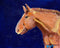 "Trigger" Original Painting by Inez Vieyra